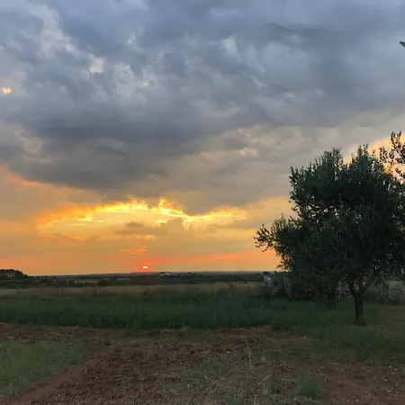 Σπίτι διακοπών Casa Degli Ulivi *