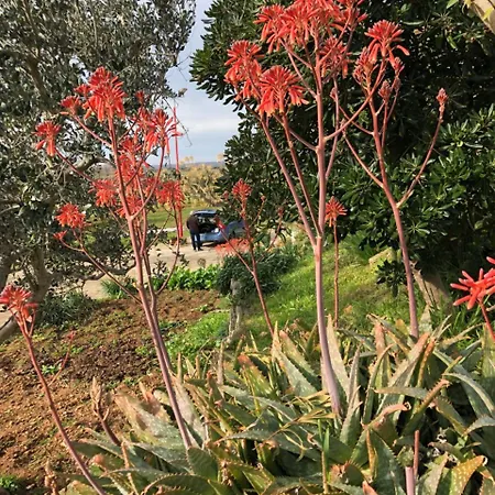 Σπίτι διακοπών Casa Degli Ulivi Laterza